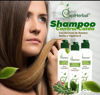 Imagen de Shampo Capiherbal Control Caida