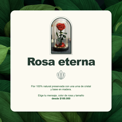 Imagen de Bonos verdes - Rosa Eterna