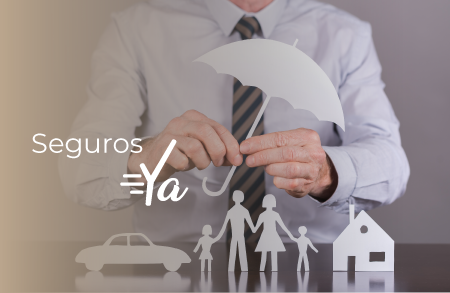 Imagen para la categoría Seguros